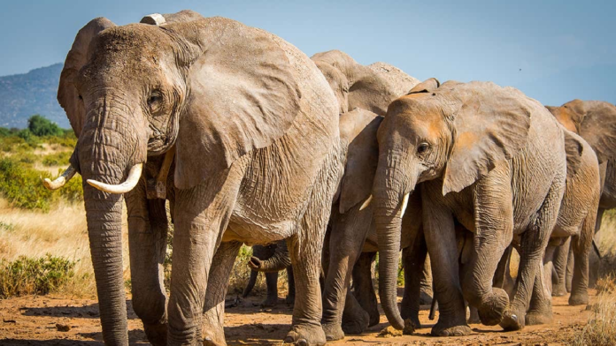 7EAF0622-76B0-4B98-A488-9047750BD458