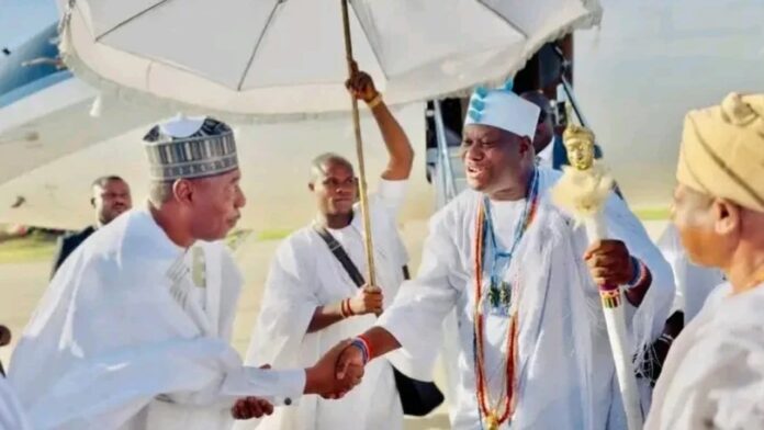 collage_export_6CA132CD-1CAE-4D73-84D1-989C176A4A05